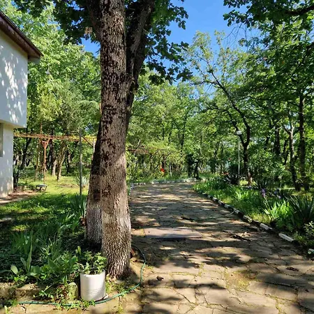 Lodge 