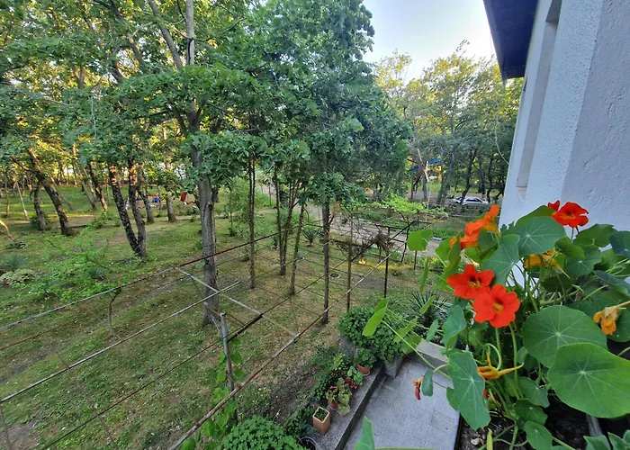 миньор Бургас