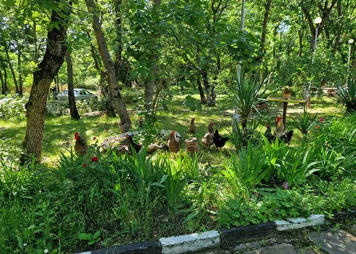 миньор Бургас